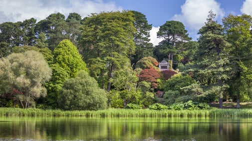 View across the lake at Mount Stewart with green trees on the other side and a glimpse of a turret between the trees